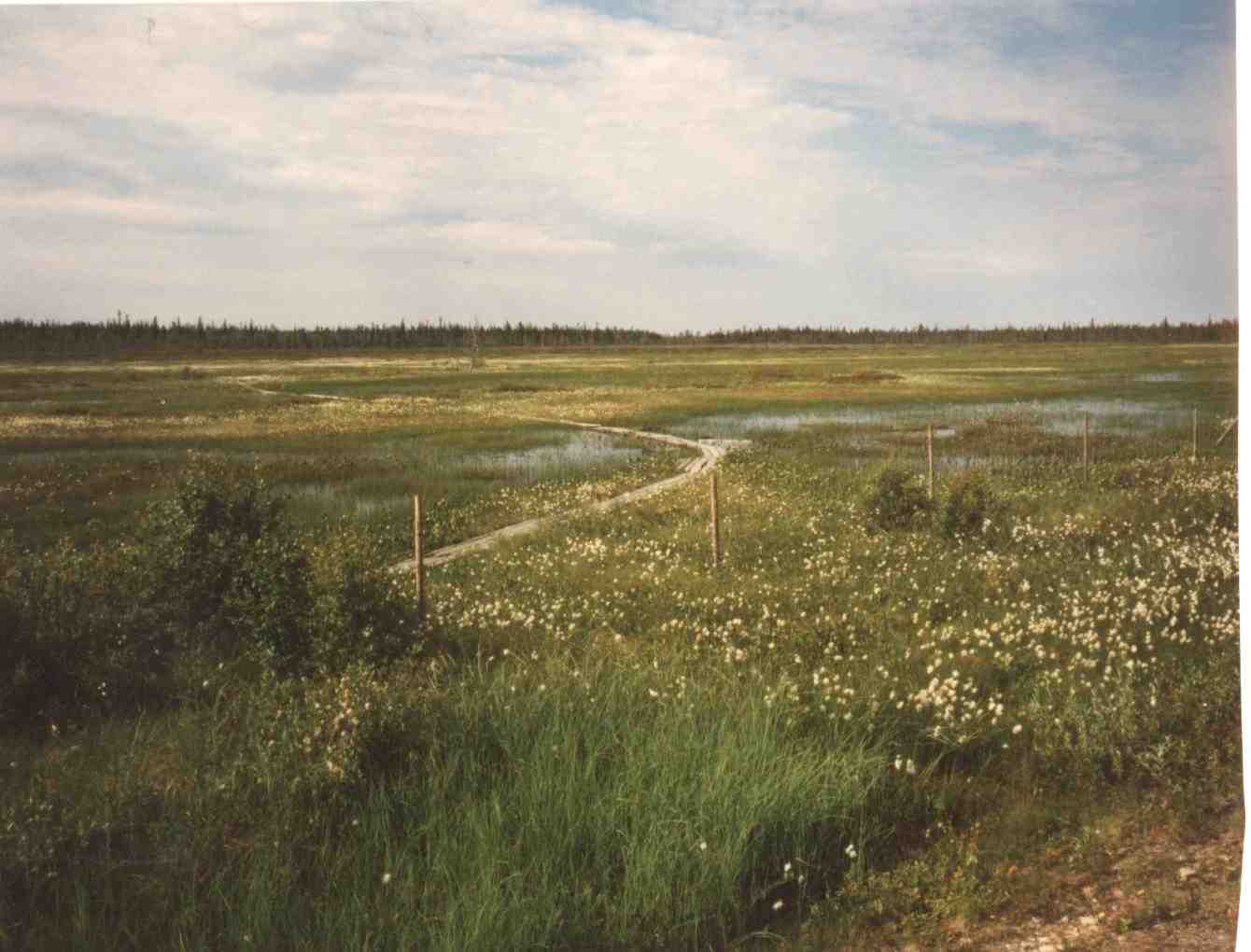 Finnisches Lappland – weite Ebenen