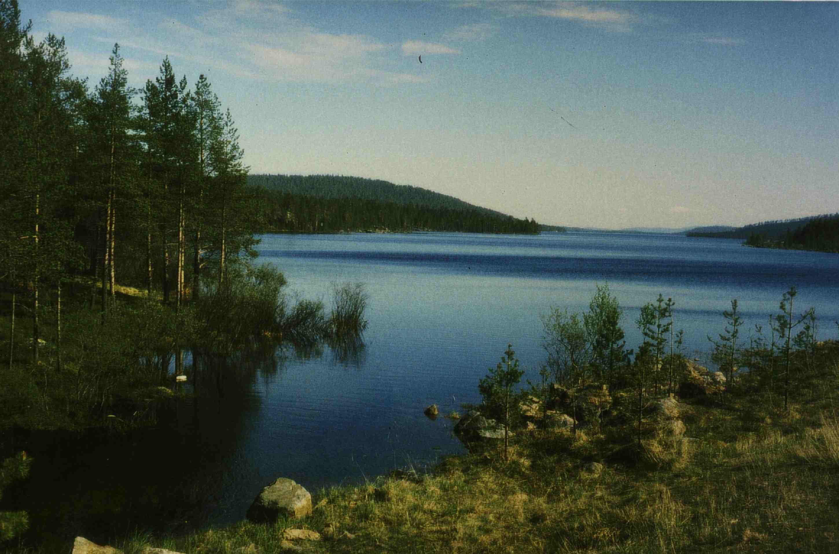 Lappland – Weite und Rentiere
