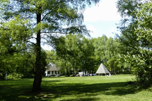 Gelände am Buchenholz